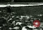 Standbild Reisanbau Philippinen, 1915, aus Sekunde 6 historischem Filmmaterial Videoclip 65675078021