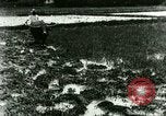 Standbild Reisanbau Philippinen, 1915, aus Sekunde 10 historischem Filmmaterial Videoclip 65675078021