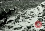 Standbild Reisanbau Philippinen, 1915, aus Sekunde 22 historischem Filmmaterial Videoclip 65675078021