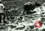Standbild Reisanbau Philippinen, 1915, aus Sekunde 34 historischem Filmmaterial Videoclip 65675078021