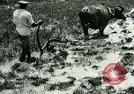 Standbild Reisanbau Philippinen, 1915, aus Sekunde 36 historischem Filmmaterial Videoclip 65675078021