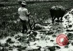 Standbild Reisanbau Philippinen, 1915, aus Sekunde 39 historischem Filmmaterial Videoclip 65675078021