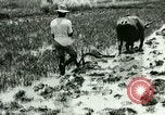 Standbild Reisanbau Philippinen, 1915, aus Sekunde 40 historischem Filmmaterial Videoclip 65675078021