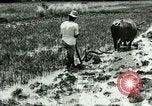 Standbild Reisanbau Philippinen, 1915, aus Sekunde 42 historischem Filmmaterial Videoclip 65675078021