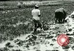 Standbild Reisanbau Philippinen, 1915, aus Sekunde 43 historischem Filmmaterial Videoclip 65675078021