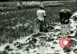 Standbild Reisanbau Philippinen, 1915, aus Sekunde 45 historischem Filmmaterial Videoclip 65675078021