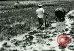 Standbild Reisanbau Philippinen, 1915, aus Sekunde 46 historischem Filmmaterial Videoclip 65675078021