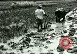 Standbild Reisanbau Philippinen, 1915, aus Sekunde 47 historischem Filmmaterial Videoclip 65675078021