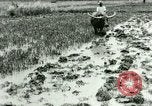 Standbild Reisanbau Philippinen, 1915, aus Sekunde 52 historischem Filmmaterial Videoclip 65675078021