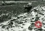 Standbild Reisanbau Philippinen, 1915, aus Sekunde 54 historischem Filmmaterial Videoclip 65675078021