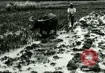 Standbild Reisanbau Philippinen, 1915, aus Sekunde 61 historischem Filmmaterial Videoclip 65675078021