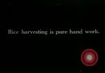Image of rice cultivation Philippines, 1915, second 1 stock footage video 65675078022