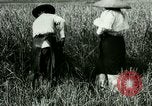Image of rice cultivation Philippines, 1915, second 12 stock footage video 65675078022