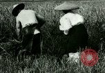 Image of rice cultivation Philippines, 1915, second 14 stock footage video 65675078022