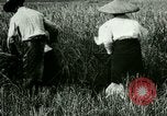 Image of rice cultivation Philippines, 1915, second 15 stock footage video 65675078022