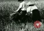 Image of rice cultivation Philippines, 1915, second 27 stock footage video 65675078022