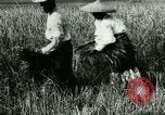 Image of rice cultivation Philippines, 1915, second 34 stock footage video 65675078022