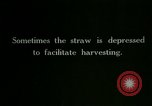 Image of rice cultivation Philippines, 1915, second 60 stock footage video 65675078022