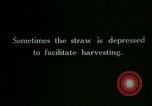 Image of rice cultivation Philippines, 1915, second 61 stock footage video 65675078022