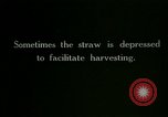 Image of rice cultivation Philippines, 1915, second 62 stock footage video 65675078022