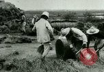 Image of rice cultivation Philippines, 1915, second 3 stock footage video 65675078023