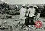 Image of rice cultivation Philippines, 1915, second 5 stock footage video 65675078023