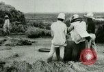 Image of rice cultivation Philippines, 1915, second 10 stock footage video 65675078023