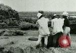 Image of rice cultivation Philippines, 1915, second 11 stock footage video 65675078023
