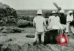 Image of rice cultivation Philippines, 1915, second 12 stock footage video 65675078023