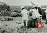 Image of rice cultivation Philippines, 1915, second 13 stock footage video 65675078023
