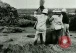Image of rice cultivation Philippines, 1915, second 17 stock footage video 65675078023