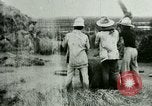 Image of rice cultivation Philippines, 1915, second 18 stock footage video 65675078023