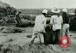 Image of rice cultivation Philippines, 1915, second 19 stock footage video 65675078023