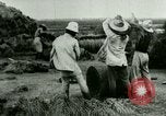 Image of rice cultivation Philippines, 1915, second 20 stock footage video 65675078023