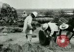 Image of rice cultivation Philippines, 1915, second 23 stock footage video 65675078023