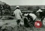 Image of rice cultivation Philippines, 1915, second 24 stock footage video 65675078023