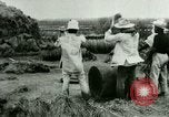 Image of rice cultivation Philippines, 1915, second 25 stock footage video 65675078023