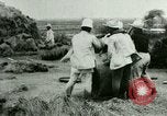 Image of rice cultivation Philippines, 1915, second 26 stock footage video 65675078023
