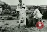 Image of rice cultivation Philippines, 1915, second 28 stock footage video 65675078023