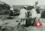 Image of rice cultivation Philippines, 1915, second 29 stock footage video 65675078023