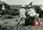 Image of rice cultivation Philippines, 1915, second 30 stock footage video 65675078023