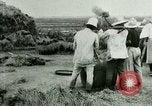 Image of rice cultivation Philippines, 1915, second 34 stock footage video 65675078023