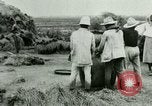 Image of rice cultivation Philippines, 1915, second 36 stock footage video 65675078023