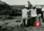 Image of rice cultivation Philippines, 1915, second 37 stock footage video 65675078023