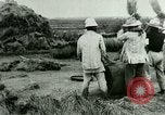 Image of rice cultivation Philippines, 1915, second 40 stock footage video 65675078023