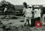 Image of rice cultivation Philippines, 1915, second 41 stock footage video 65675078023
