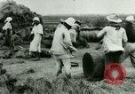 Image of rice cultivation Philippines, 1915, second 43 stock footage video 65675078023