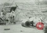 Image of rice cultivation Philippines, 1915, second 44 stock footage video 65675078023
