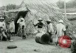 Image of rice cultivation Philippines, 1915, second 46 stock footage video 65675078023