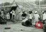Image of rice cultivation Philippines, 1915, second 48 stock footage video 65675078023